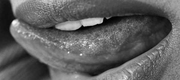 lucciola-della-ribalta